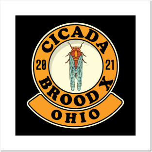 Cicada 2021 Brood X Ohio OH Posters and Art